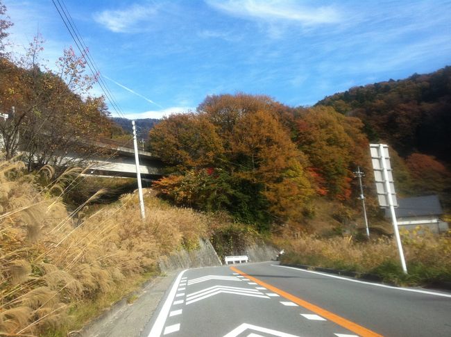 山梨県丹波山村にある「のめこい湯」に向かいましたが、<br />道の駅も兼ねた温泉の駐車場に入るための渋滞が発生していたので断念しました。<br /><br />仕方ないので大菩薩ラインを抜けて塩山市方面へ。<br />大菩薩ラインは紅葉が綺麗でした。<br />青い空と色づいた山の景色が最高でした。
