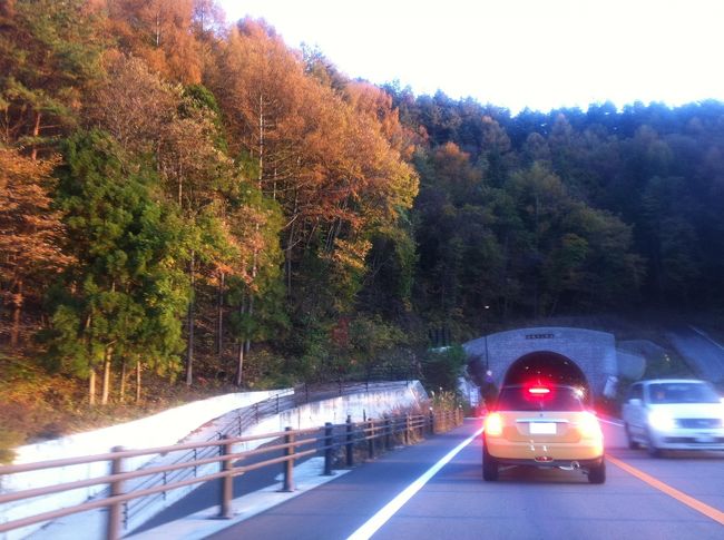 勝沼ＩＣから中央道で帰ろうと思っていたのですが、すでに渋滞が始まっているとの情報が…<br /><br />御殿場から東名経由で帰ろうか〜ということになり、御坂みちを抜けて富士五湖方面へ。<br />なんだかテンションが上がって無意味な遠回りに…<br /><br />こちらの方も紅葉が綺麗でした。