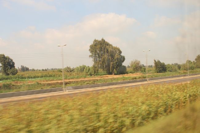 線路沿いは緑があふれる予想外の風景でした。