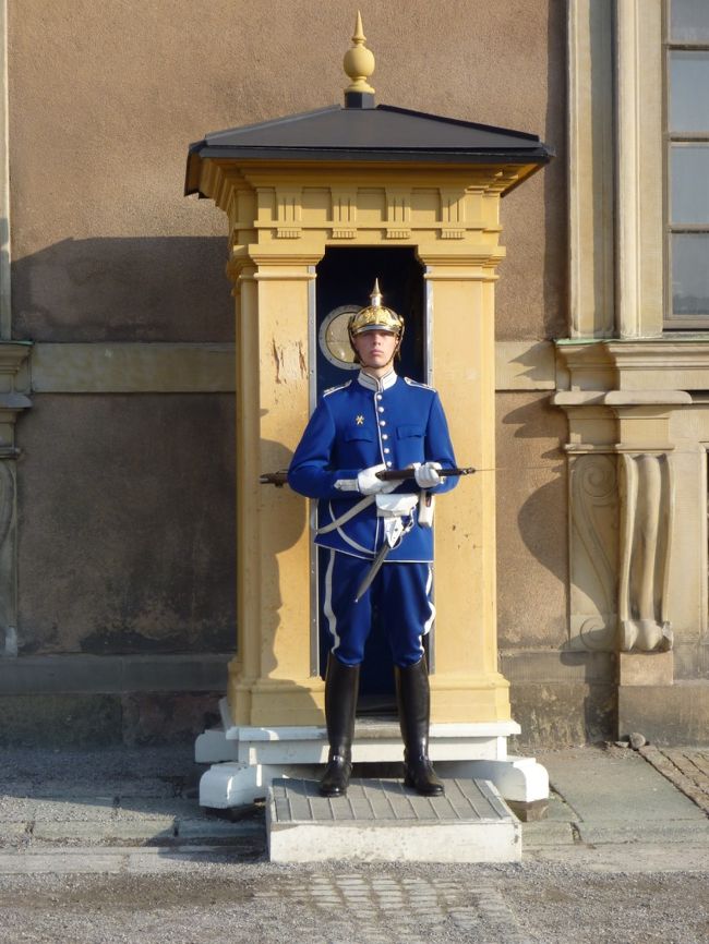イケメンの衛兵さん。