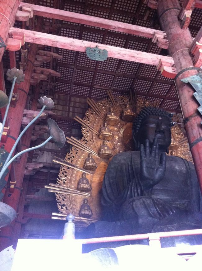大仏！<br />でかいですね。<br /><br />この大仏も大人になってから見ると<br />すごさがよくわかりました。<br />奈良に来てよかった〜〜<br /><br /><br />でも寒い＞＜<br /><br />大仏殿の後は、<br />できたての東大寺ミュージアムにも入りました。<br />