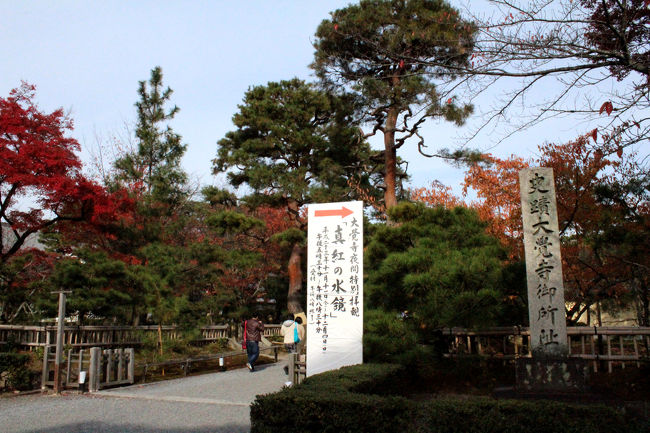 京都の紅葉◇大覚寺＆紅茶専門店「MISSLIM」』嵐山・嵯峨野