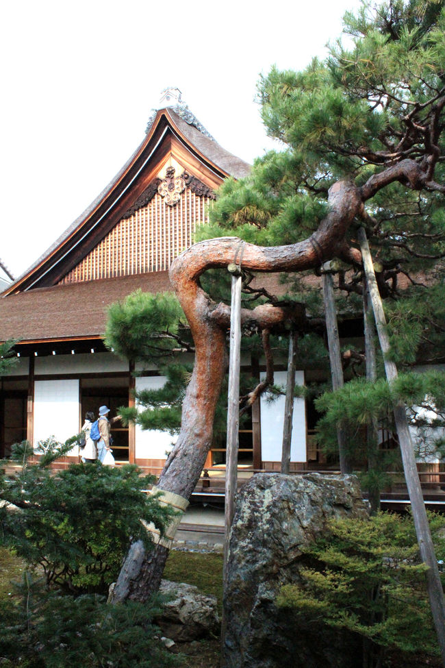 視点と始点　京本大我 紅茶　緑茶 京本大我 写真展「視点と始点」
