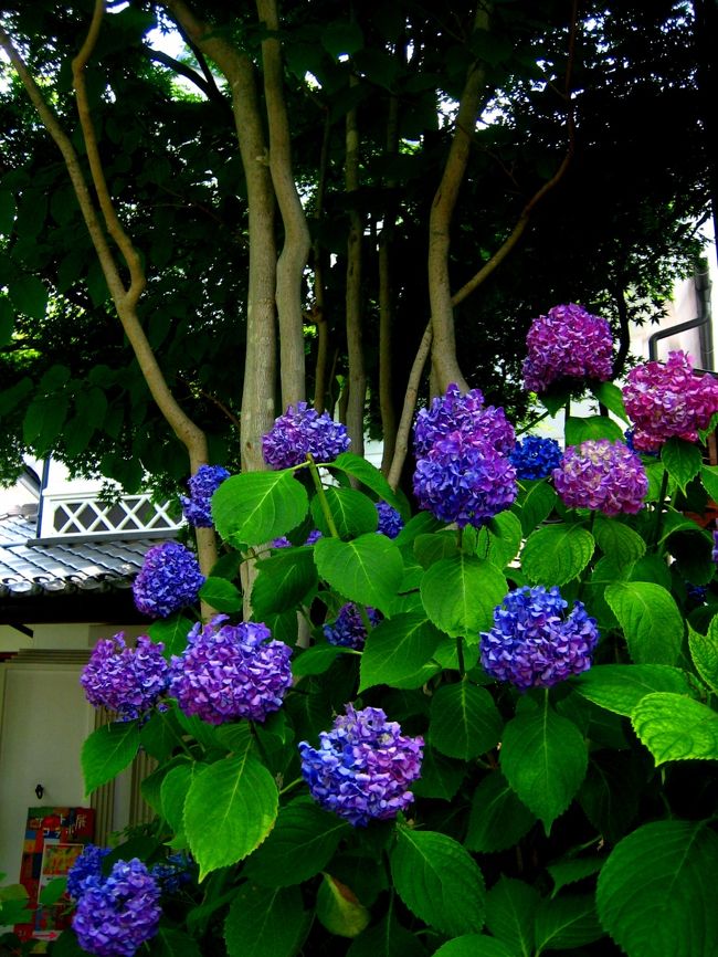 変化（へんげ）。