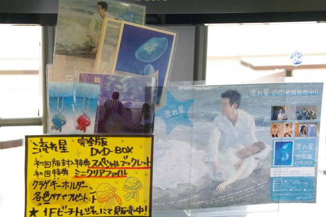 ドラマ 流れ星 の舞台になった 新江の島水族館 の漂うクラゲと相模湾の魚たち 藤沢 江ノ島 神奈川県 の旅行記 ブログ By Canさん フォートラベル