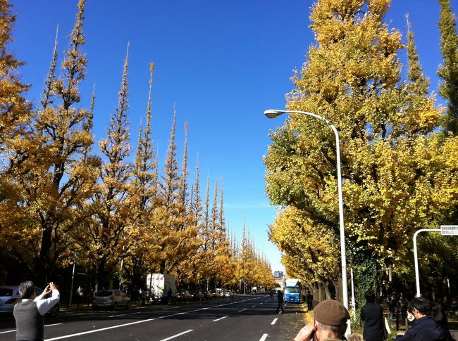 四季のある日本はやっぱり良いですね！