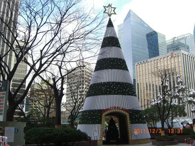 ロッテホテル前にもクリスマスツリー。<br />夜ならもっと綺麗でしょうね？