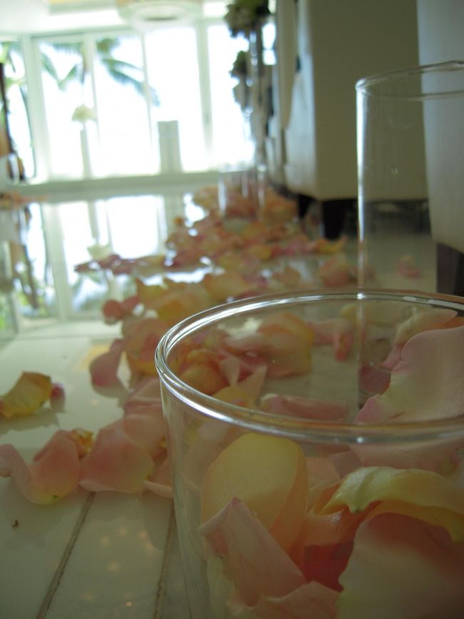 場所はサーフライダー内のチャペル。<br />ワイキキビーチをバックにした白いチャペル☆<br />窓からの光が入ってきてすごく明るい！<br />もー、素敵過ぎ！<br /><br />BGMにはハープとおねーさんの生歌。<br />ハープはやっぱり女性に演奏してもらいたいな、と再実感（笑）<br />で、生歌のおねーさんの声が素敵すぎ！<br />神父もナイスミドルだし。<br /><br />写真タイムもたくさん取ってもらえて、いろんな写真が！<br />青い海をバックに新郎新婦、って写真が撮れたよ！<br />パンフのようだ。。。<br />式におばあちゃまも参列してて、友人の苦労話はまあまあ聞いてたけど、おばあちゃまとの写真でおばあちゃまのうれしそうな笑顔が印象的だったな。<br /><br />すてきなお式でした☆<br />呼んでくれてありがとう！<br /><br />あこがれる！！！<br />きゃー（≧▽≦）<br />私もできるならハワイがいいなー♪<br />妄想だけで終わりそうだけど。。。orz