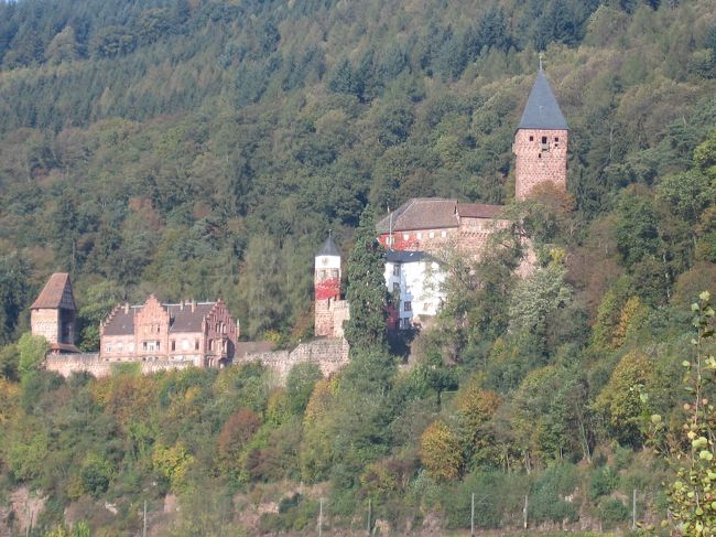 ハイデルブルク城です