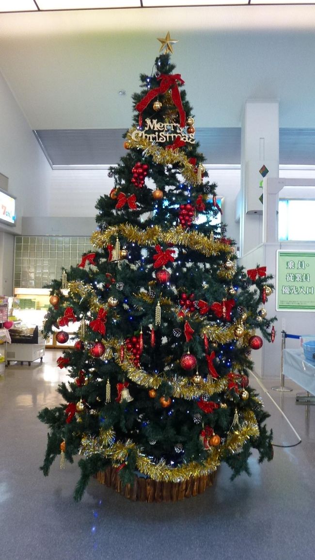 この時期になると、ツリーは何処にでもあります。