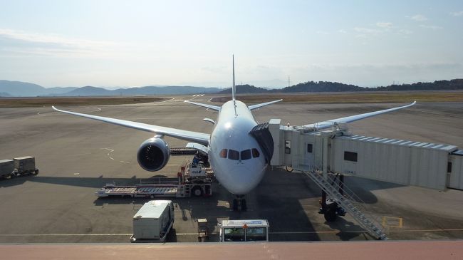 ７８７−８が真正面に見られました。