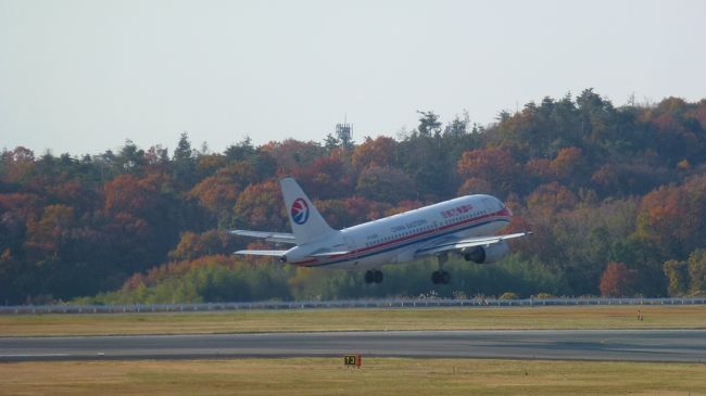飛行機が飛び立って行きました。