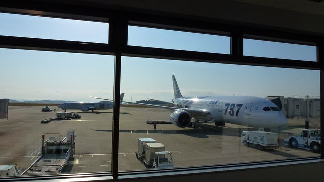 Ｂ７８７−８が見えています。