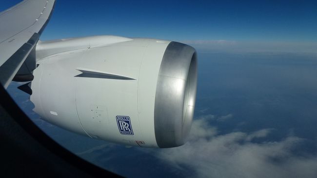 順光になり綺麗に撮れました。