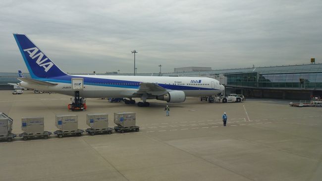 所定のスポットに入りました。