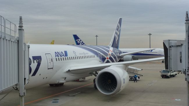 岡山から乗って来た、Ｂ７８７−８です。