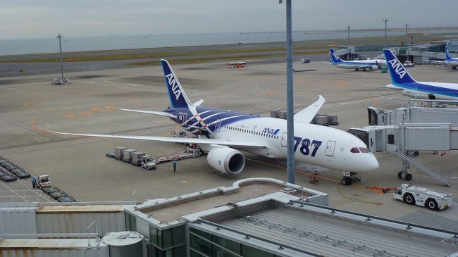 その後、羽田空港の展望デッキにやって来ました。<br /><br />さっき乗って来た、Ｂ７８７−８です。