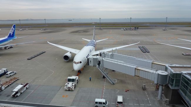 もう一機の方では、各種地上訓練を行っていたようです。