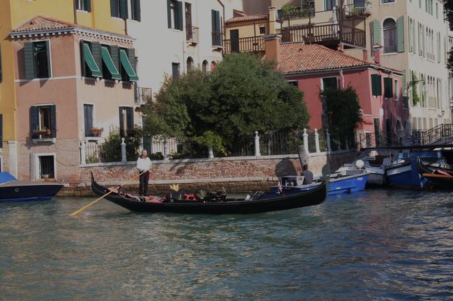 アカデミアのゴンドラ　　11：10