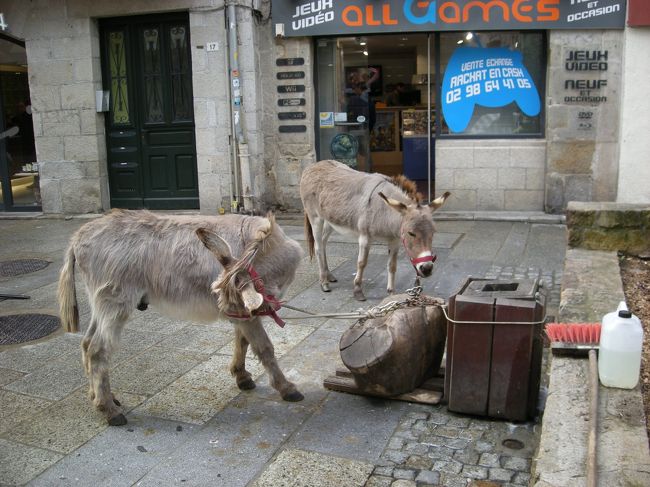 大聖堂を後に、周辺をお散歩