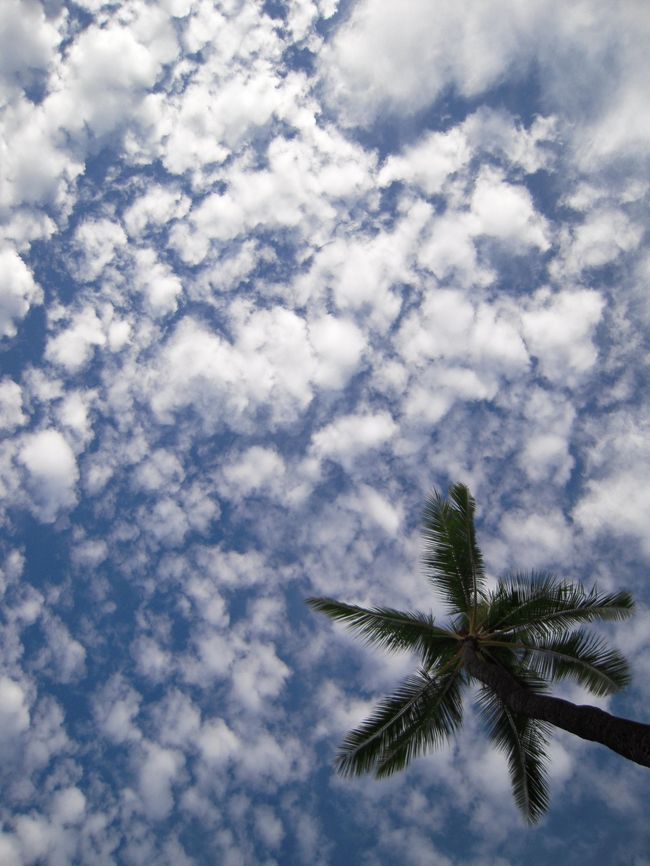うろこ雲。<br />ハワイも秋の空〜。