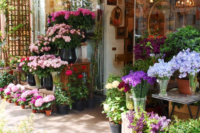 リヨン駅に向かう途中の花屋さん。ちょっとアジアを意識した感じかな？