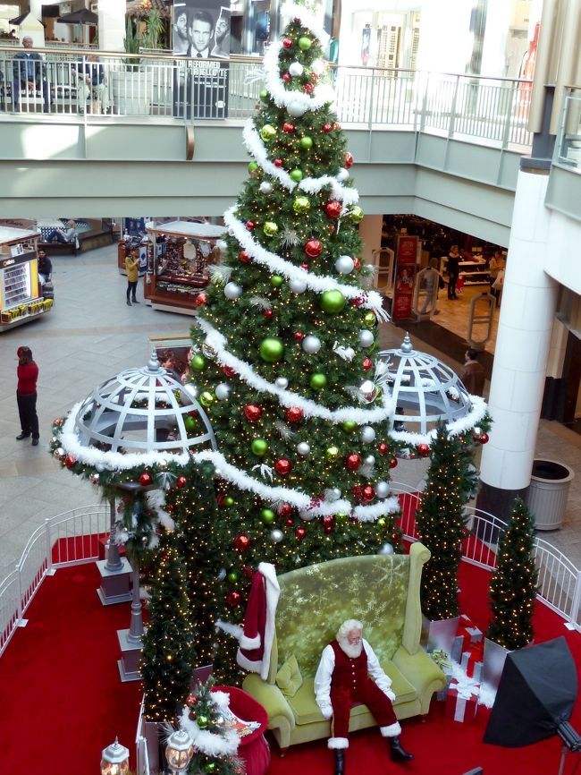 クリスマスツリー狩りと歴代ツリー、そしてツリー警察沙汰事件 クリスマスツリー狩りと歴代ツリー、そしてツリー警察沙汰事件