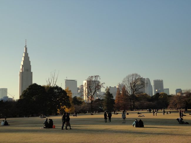 初冬の新宿散策は 都庁から新宿御苑 そして 新宿サザンテラスの夜景 新宿 東京 の旅行記 ブログ By かずちゃんママさん フォートラベル 初冬の新宿散策は 都庁から新宿御苑 そして 新宿サザンテラスの夜景 新宿 東京 の旅行記 ブログ By かずちゃんママさん フォートラベル