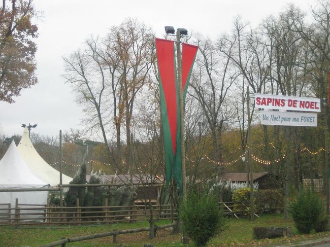 途中、クリスマスツリーを売っているお店も。