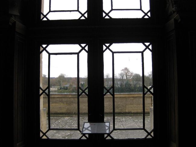 窓から庭が見えます。