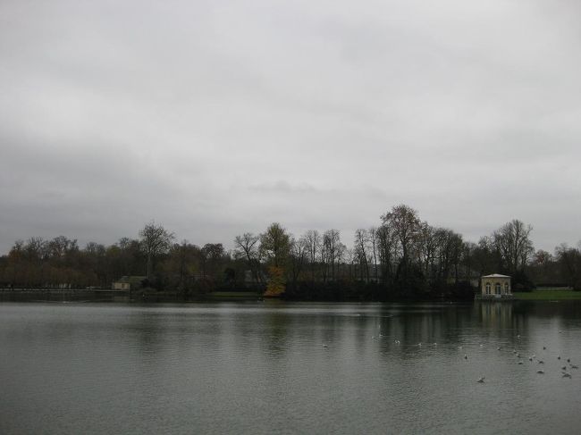 鯉の池。<br />ここにいる鯉の大きさは尋常じゃなかった…