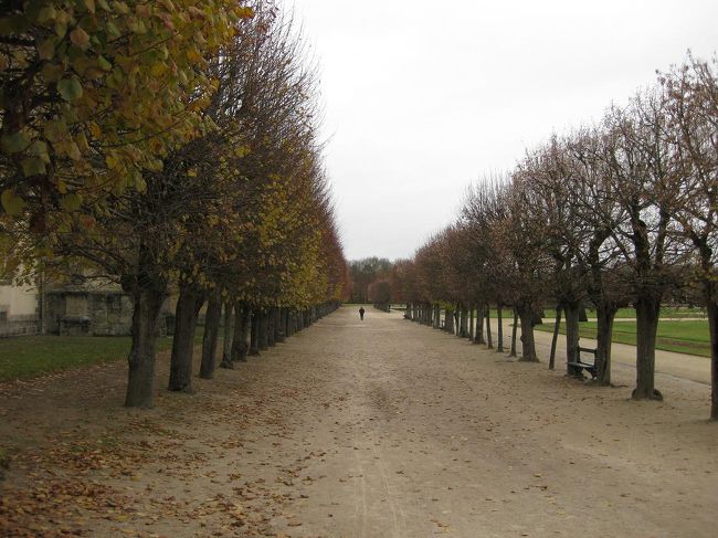 ずーっと続く並木道。<br />なんとなく、こういうのがフランスっぽいイメージです。