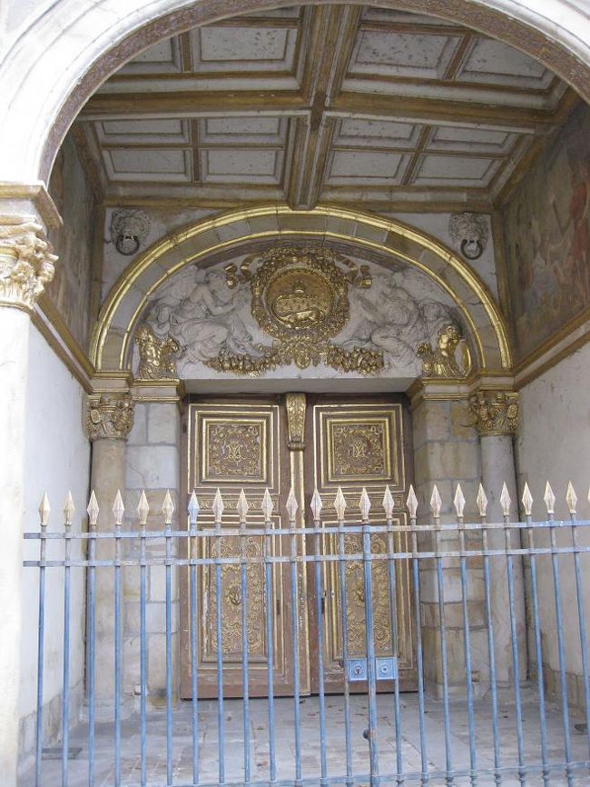 ここにも火とかげが。