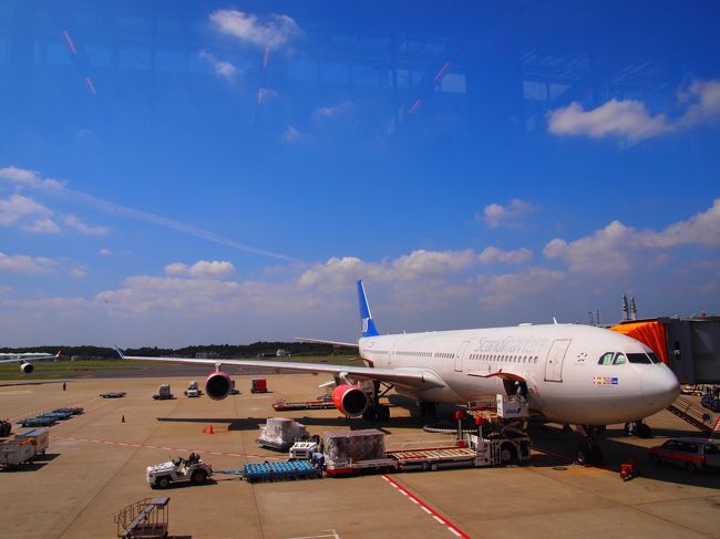 成田から、デンマーク・コペンハーゲン乗継でスウェーデン・ストックホルムへ向かいます。<br />飛行機は初スカンジナビア航空。<br />本当はフィンエアーの直行便で行きたかったけど、満席で取れず残念でした。<br /><br />成田からコペンハーゲンまで、11時間25分の旅です。