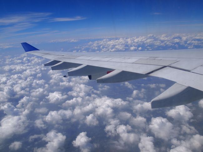 雲の上。<br /><br />機内では見たい映画がいっぱい！<br />パイレーツオブカリビアン、Rio、X-men、Water for Elephants、など新作のものからショーシャンクの空にやフォレストガンプ、Catch me if you canなど・・・次から次へと映画を見続けていました。