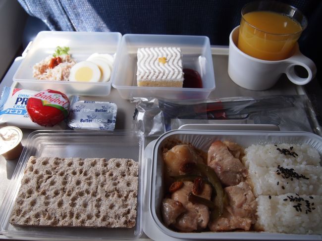 機内食は残念ながら、おそらく一種類しか用意されていなかったと思います。（帰路も同様）<br />機内食は飛行機に乗る楽しみの一つなので、ちょっと残念。<br />でもチキン、美味しかった♪<br /><br />メニューなども用意されていないし、紙ナプキンやソルト＆ペッパーの袋にもスカンジナビア航空のロゴさえ無くて、とてもシンプル。<br />そして食事の容器は使い捨ての薄いプラスティックや紙製なので驚きました。<br /><br />