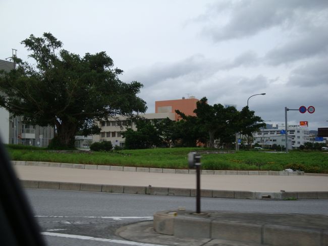 荷物を車に詰め込み、さあ、出発=３=３<br /><br /><br />車窓から<br />たぶん有名な木だとおもうけど・・・<br /><br /><br /><br />またまた、道の駅許田へ寄り、お土産を買い、宝くじも買ってみた＾＾