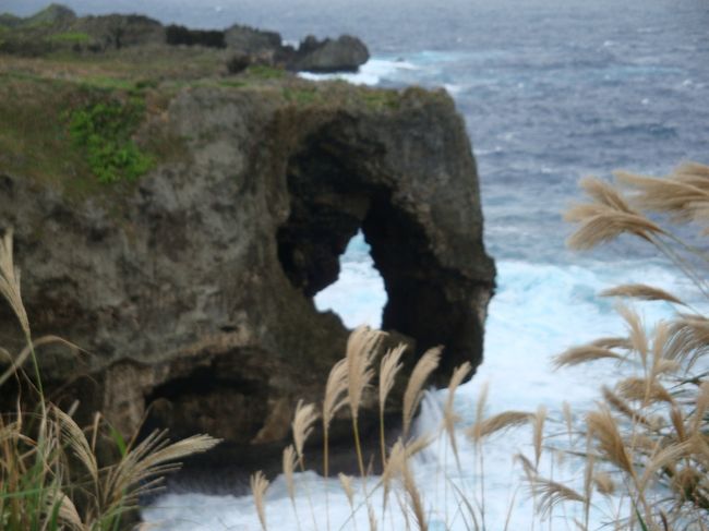 まず、最初の観光地は、万座毛<br /><br />風が強くて、車から降りるのに、ドアがフルオープンするくらい・・・<br />寒いし・・・最悪・・<br />