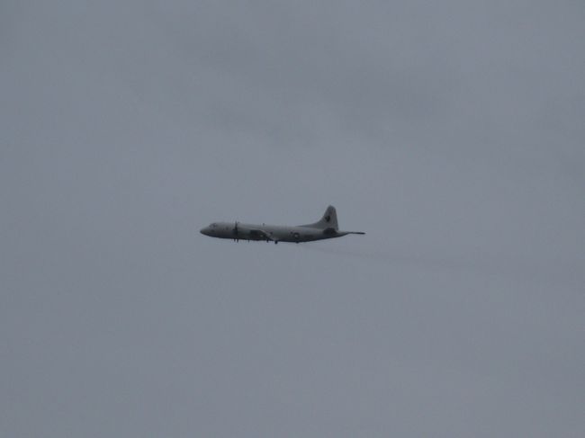 私のカメラでは、精一杯