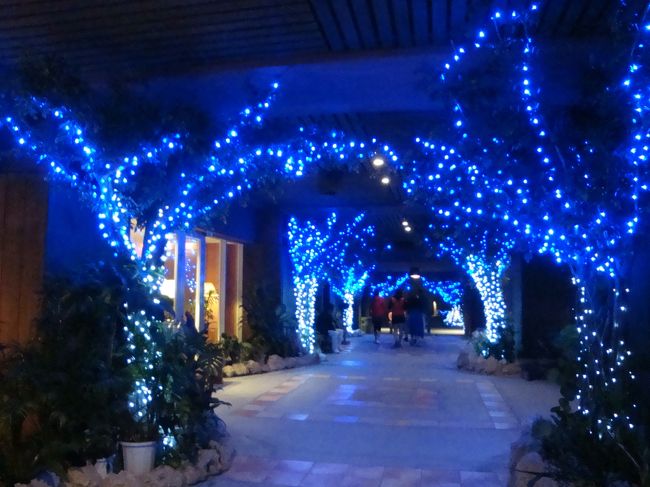 入り口ゲートはイルミネーション<br /><br /><br />ホテルロビーの所で、夜市があっていたけど、学生さんがたくさん<br /><br />どうやら、私達の部屋の上の階から、ほとんど修学旅行の生徒で埋まっているみたい