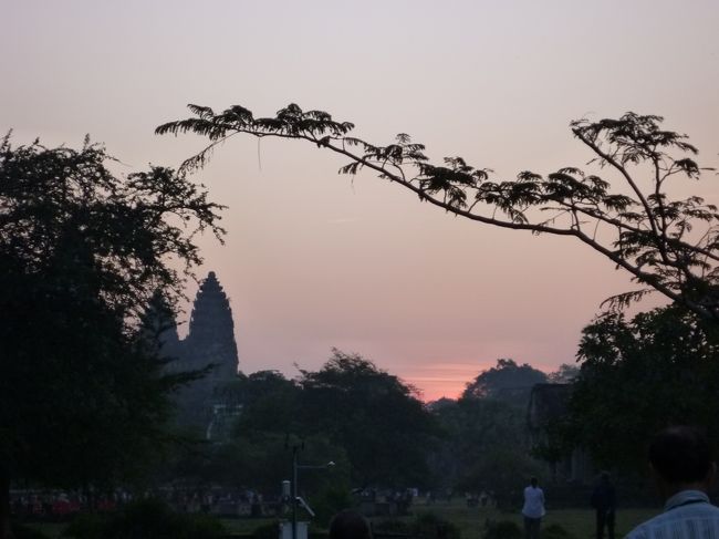 朝日が昇り始めました