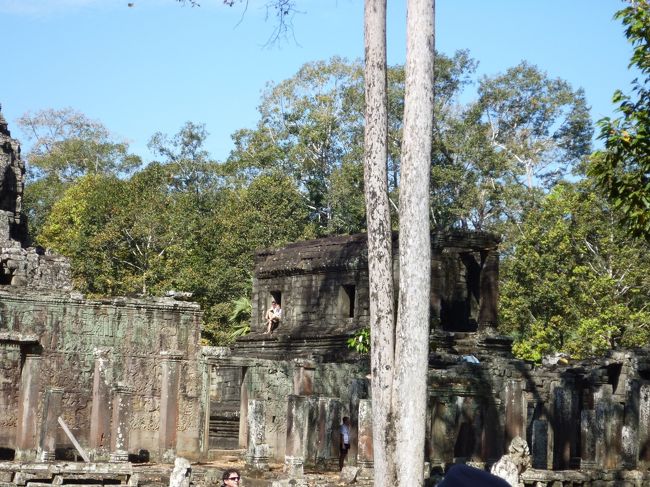 修復の終わった右の経蔵