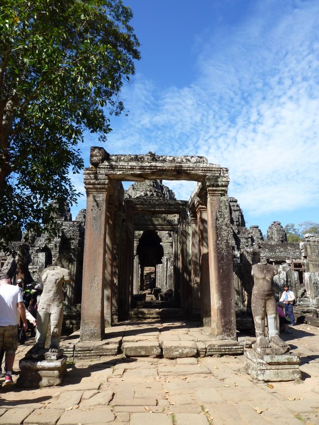 ここから入場です