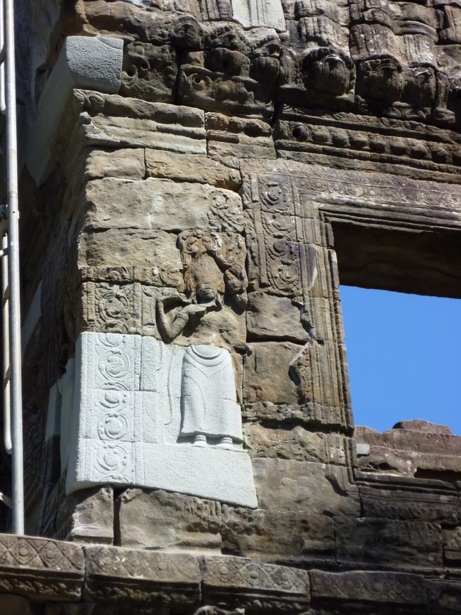 修復した箇所がわかります<br />わざとそうしているそうです