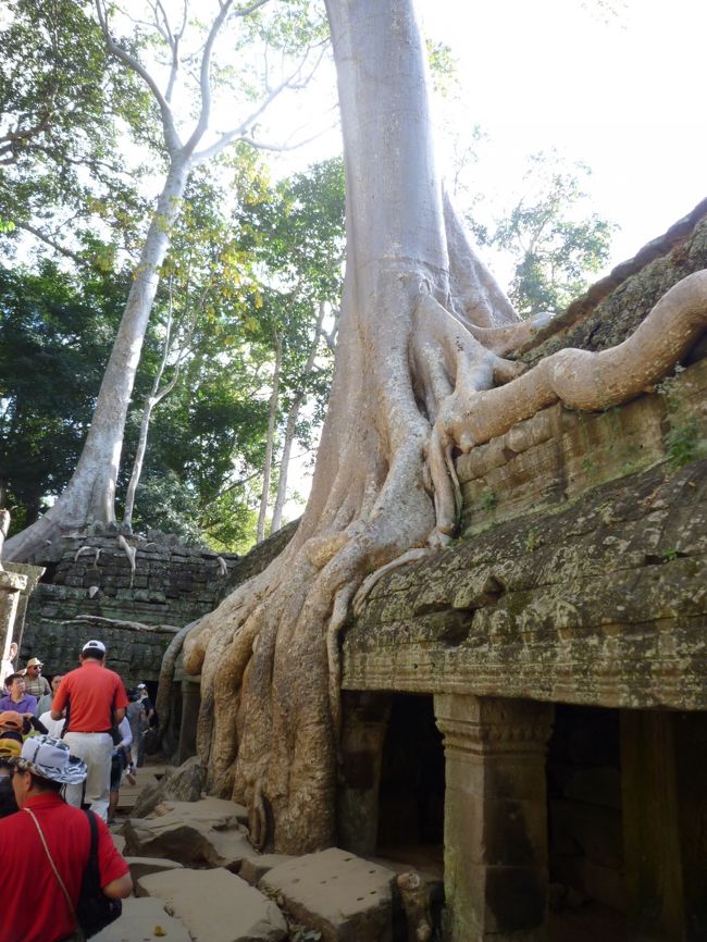 回廊を押しつぶしそうです