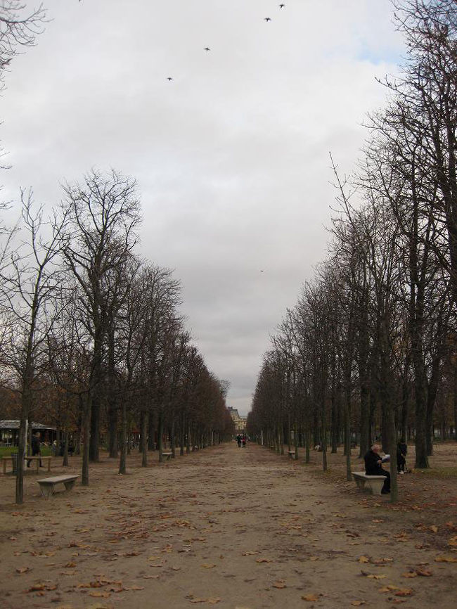 素敵な並木道です。<br />ベンチで新聞読んでるおじさんが絵になる！<br />奥にはルーブル美術館も見えます。