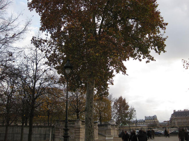 枯れかけた葉っぱと街灯。<br />これも絵になります。<br />なんでも絵になります。