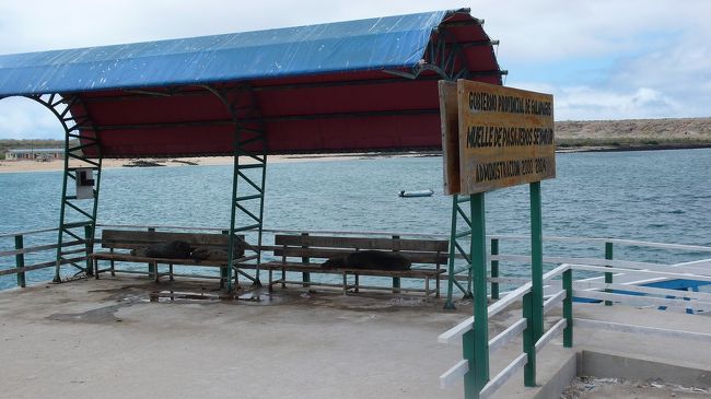 10時だったかな？<br /><br />空港に到着した飛行機から、たくさんの人が降りてきました。<br />ちょうど昨日の僕もそうでしたな。<br />その人たちと合流して、ツアーの開始でした。<br /><br />ピックアップのバスに乗って5分。<br />空港そばの岸壁に来ました。<br /><br /><br />アシカ、寝てます。