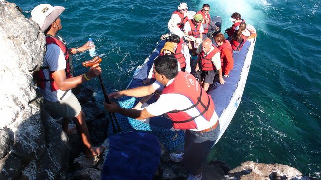 午後から早速、島に上陸して、自然観察開始です。