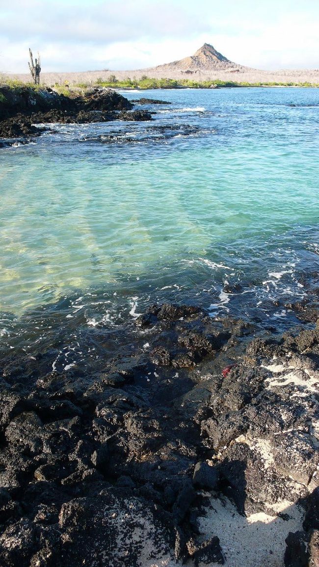 <br /><br />次の日。<br />寝てる間に船は移動してくれていました。<br /><br />別の島に上陸。